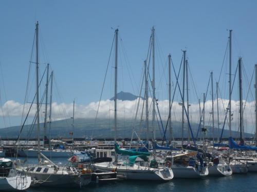 Faial_Segelboote Hafen Horta mit Pico