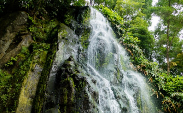 Sao Miguel_waterfall