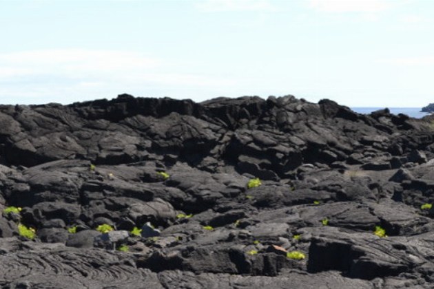 Pico_lava coast